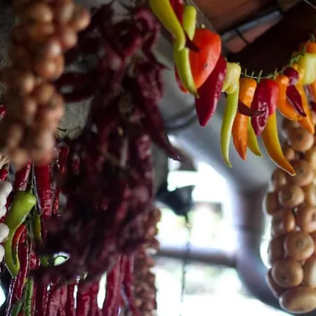 Martinova Izba - Family Holiday park Lasko